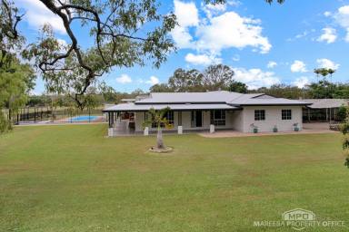 House Sold - QLD - Mareeba - 4880 - COMPLETE PACKAGE - SPACIOUA HOME, POOL, SHEDS & SOLAR ON ACREAGE!  (Image 2)
