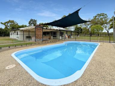 House Sold - QLD - Mareeba - 4880 - COMPLETE PACKAGE - SPACIOUA HOME, POOL, SHEDS & SOLAR ON ACREAGE!  (Image 2)