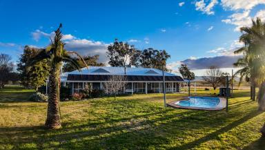 Lifestyle For Sale - NSW - Garoo - 2340 - Peaceful And Secluded In The Blue Ribbon Garoo District  (Image 2)