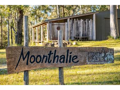 Lifestyle For Sale - NSW - Coolongolook - 2423 - Exceptional Living  (Image 2)