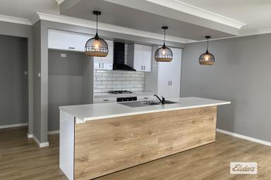 House For Lease - NSW - Old Bar - 2430 - Holiday all year round!  (Image 2)