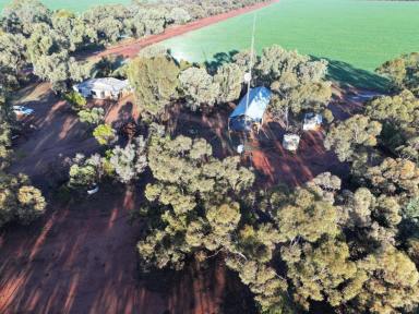 Mixed Farming For Sale - NSW - Euabalong - 2877 - One Of The Most Efficient Grain Growing Farms In NSW  (Image 2)