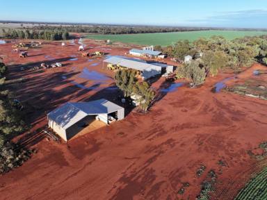 Mixed Farming For Sale - NSW - Euabalong - 2877 - One Of The Most Efficient Grain Growing Farms In NSW  (Image 2)