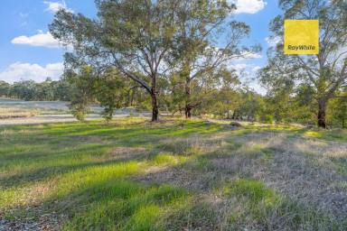 Residential Block For Sale - WA - Bridgetown - 6255 - Prime Land with Subdivision Approval  (Image 2)