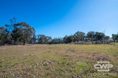 Lifestyle For Sale - NSW - Emmaville - 2371 - Lifestyle Opportunity Near Emmaville, NSW  (Image 2)