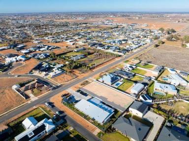 Residential Block For Sale - VIC - Mildura - 3500 - Great New Home Site - Half Acre In Town  (Image 2)