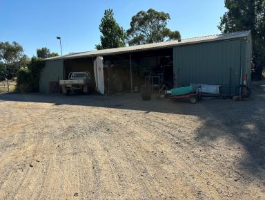 Mixed Farming For Sale - VIC - Nanneella - 3561 - Perfect Starter.  (Image 2)