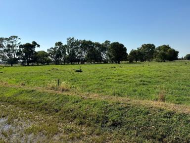 Mixed Farming For Sale - VIC - Nanneella - 3561 - Perfect Starter.  (Image 2)