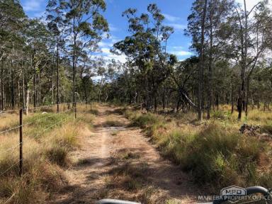 Livestock For Sale - QLD - Biboohra - 4880 - A PRIVATE BUSH BLOCK  (Image 2)