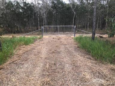 Livestock For Sale - QLD - Biboohra - 4880 - A PRIVATE BUSH BLOCK  (Image 2)