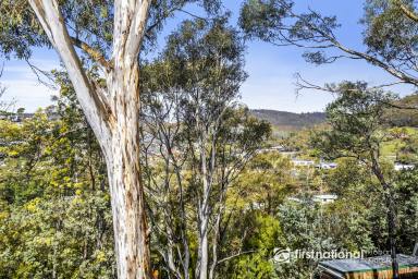 Unit For Sale - TAS - Lenah Valley - 7008 - Peace, Privacy & Position - A Unique Family Retreat in Lenah Valley  (Image 2)