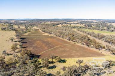 Lifestyle For Sale - NSW - Emmaville - 2371 - 781ac approx. Farming Opportunity with Cultivation  (Image 2)