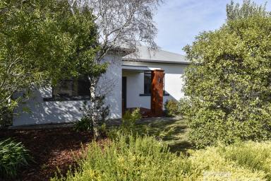House For Sale - SA - Millicent - 5280 - Solid Limestone Home on a Generous Allotment in a Prime Location  (Image 2)
