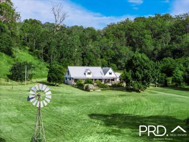 House For Sale - NSW - Kyogle - 2474 - Country Cottage Living on 8.5 Acres  (Image 2)