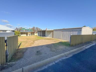 House For Sale - NSW - Young - 2594 - 4 Bedroom Home On a 1012m2* Allotment With A Great Shed  (Image 2)