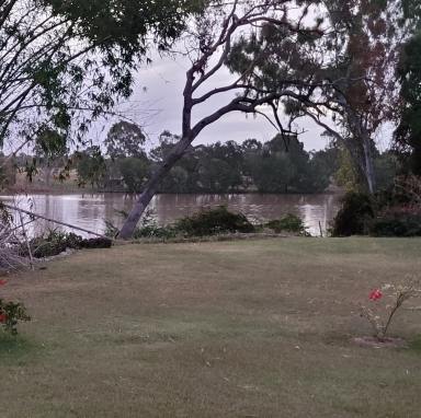 Lifestyle For Sale - QLD - Kawana - 4701 - Brick Home on 3 acre Fitzroy River Frontage – Tightly held since 1915 – Create your own generational legacy!  (Image 2)
