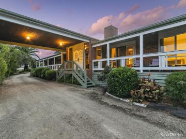 House For Lease - VIC - Berwick - 3806 - A Rare  Opportunity to lease this hidden treasure in the Heart of Berwick 12 month lease on offer..  (Image 2)