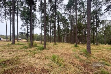 Residential Block For Sale - QLD - Glenwood - 4570 - ELEVATED LIVING, SCENIC SETTING  (Image 2)