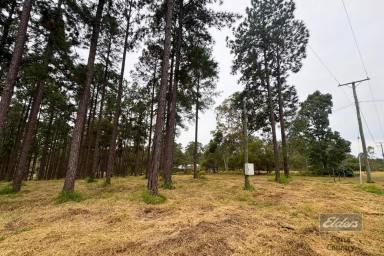 Residential Block For Sale - QLD - Glenwood - 4570 - ELEVATED LIVING, SCENIC SETTING  (Image 2)