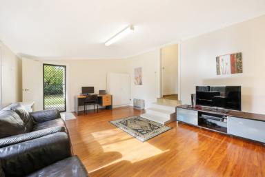 House Auction - NSW - Tamworth - 2340 - GORGEOUS OLDER STYLE FAMILY HOME IN WEST TAMWORTH  (Image 2)