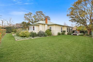 House Auction - NSW - Tamworth - 2340 - GORGEOUS OLDER STYLE FAMILY HOME IN WEST TAMWORTH  (Image 2)
