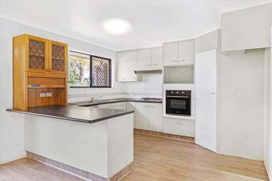 House For Lease - QLD - Centenary Heights - 4350 - Spacious Family Home in Sought After Pocket  (Image 2)