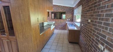 House For Sale - QLD - Paluma - 4816 - BRICK HOME LOCATED IN RAINFOREST AREA - GREAT FOR HOLIDAYS OR WEEKENDER!  (Image 2)