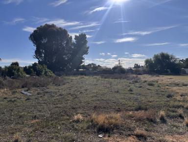 Residential Block For Sale - VIC - Ouyen - 3490 - Ouyen's best value block!  (Image 2)