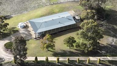 Acreage/Semi-rural For Sale - SA - Bordertown - 5268 - Lifestyle with Horse Training Opportunity  (Image 2)