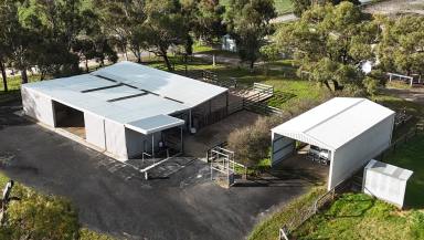 Acreage/Semi-rural For Sale - SA - Bordertown - 5268 - Lifestyle with Horse Training Opportunity  (Image 2)