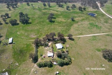 Mixed Farming For Sale - NSW - Inverell - 2360 - NYALLA  (Image 2)