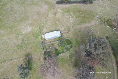 Mixed Farming For Sale - NSW - Inverell - 2360 - NYALLA  (Image 2)