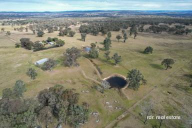 Mixed Farming For Sale - NSW - Inverell - 2360 - NYALLA  (Image 2)