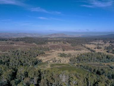 Lifestyle For Sale - TAS - Osterley - 7140 - Tranquil Land Lots X10 - Ideal for Fishing, Hunting & Off-Grid Living  (Image 2)
