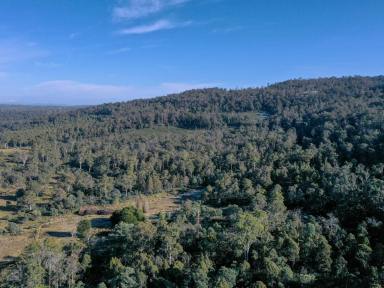Lifestyle For Sale - TAS - Osterley - 7140 - Tranquil Land Lots X10 - Ideal for Fishing, Hunting & Off-Grid Living  (Image 2)