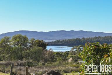 House For Sale - TAS - Beauty Point - 7270 - Renovation-Ready Large Home with Water Views  (Image 2)