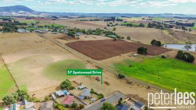 Residential Block For Sale - TAS - Scottsdale - 7260 - Great Block for a Home Builder  (Image 2)
