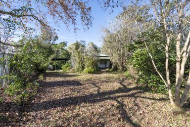 House For Sale - NSW - Upper Copmanhurst - 2460 - "THE OLD SCHOOL HOUSE"  (Image 2)