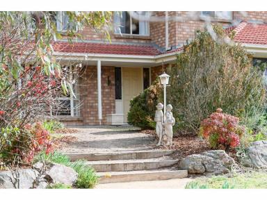 House For Sale - SA - Lyndoch - 5351 - When size and space are important!  (Image 2)
