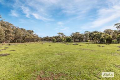 Residential Block For Sale - VIC - Wedderburn - 3518 - 2.59Ha / 6.40Ac - Wedderburn/Central Victoria  (Image 2)