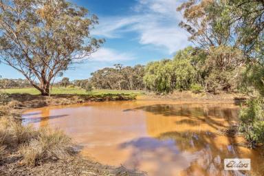 Residential Block For Sale - VIC - Wedderburn - 3518 - 2.59Ha / 6.40Ac - Wedderburn/Central Victoria  (Image 2)