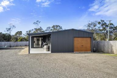 House For Sale - TAS - White Beach - 7184 - Modern Coastal Charm on a 1502m² Slice of Paradise  (Image 2)