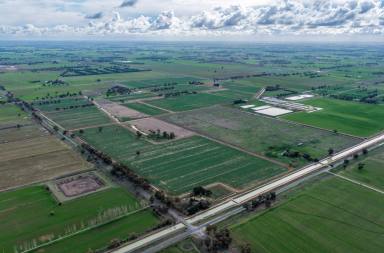 Cropping Auction - VIC - Kyabram - 3620 - Morgans  (Image 2)