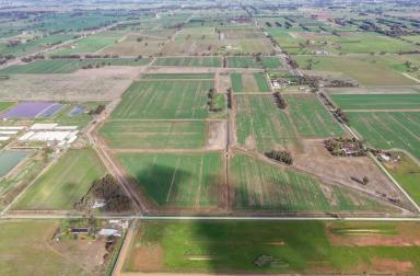 Cropping Auction - VIC - Kyabram - 3620 - Morgans  (Image 2)