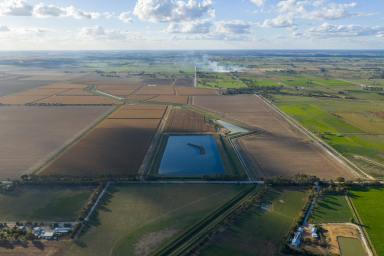 Cropping For Sale - VIC - Tongala - 3621 - Pykes (Image 2)