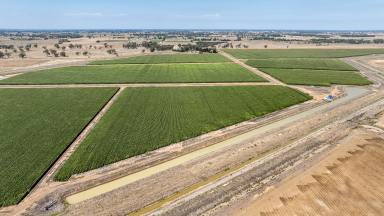 Cropping Auction - VIC - Tongala - 3621 - Pykes  (Image 2)