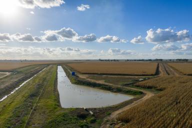 Cropping For Sale - VIC - Tongala - 3621 - Pykes (Image 2)