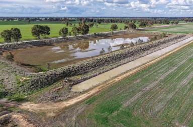 Cropping Auction - VIC - Kyabram - 3620 - Butlers 1  (Image 2)