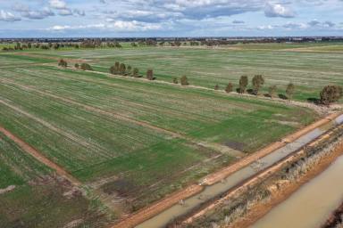 Cropping Auction - VIC - Kyabram - 3620 - Butlers 1  (Image 2)