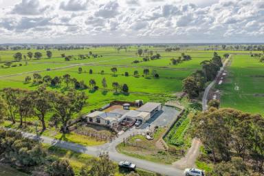 Cropping Auction - VIC - Kyabram - 3620 - Butlers 1  (Image 2)